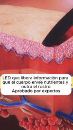 🌟 Masajeador Facial Antiedad Multifuncional – Limpieza y Revitalización para tu Piel - Imagen 15