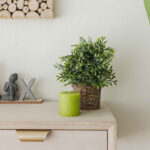 VELA THIAN VERDE 7cm